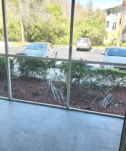 Seasons at Westchase — Photo 59