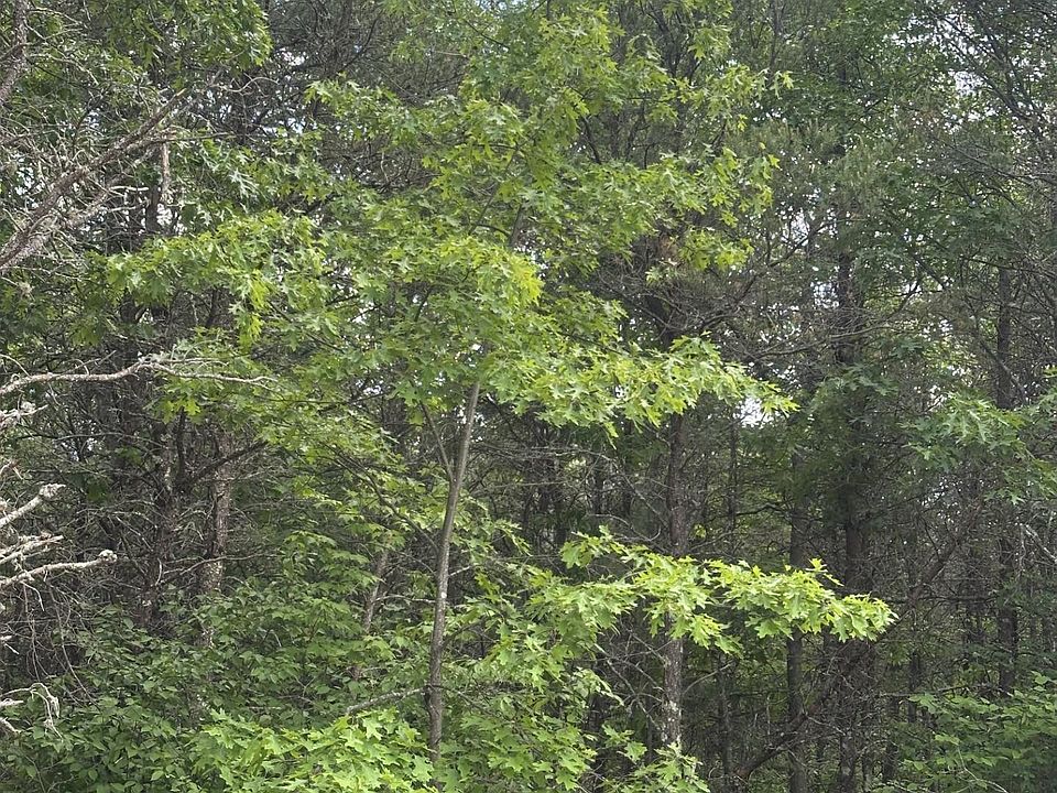 1st image of On Cth #Y-lot 3