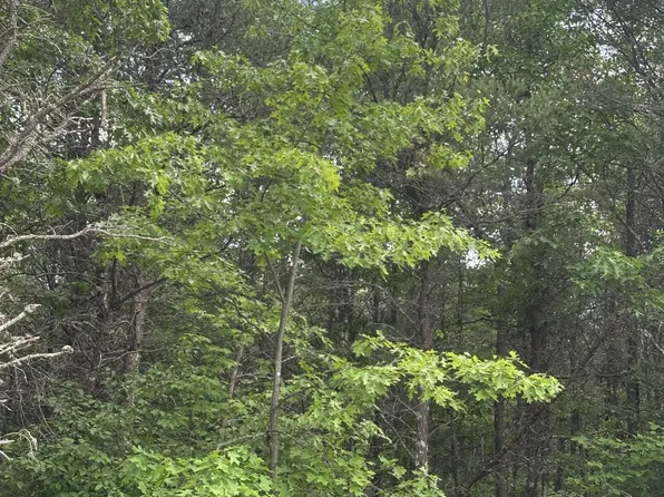 On Cth #Y-lot 3, Nekoosa, WI 54457