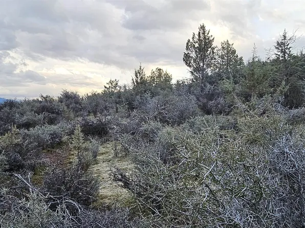 Lots 137 & 138 Tree Ln, Hornbrook, CA 96044