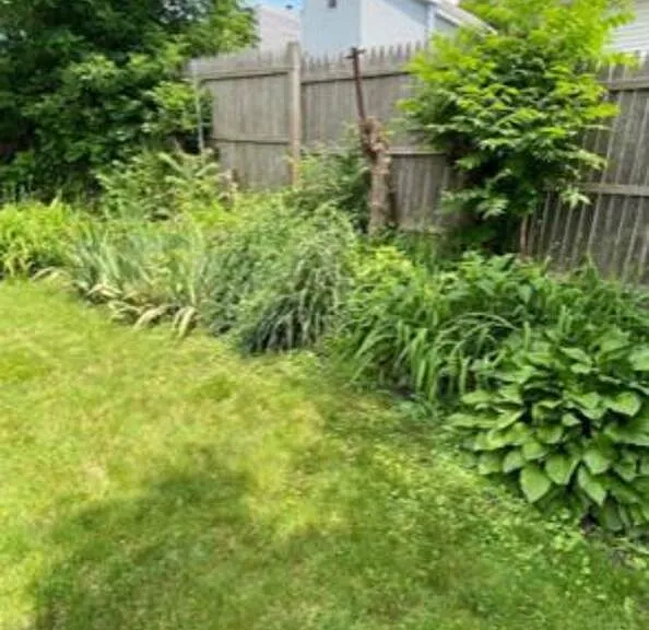 25 Harrison Ave — Photo 32