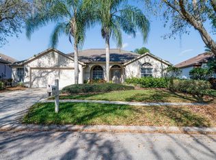 9420 Hunters Pond Dr, Tampa, FL 33647