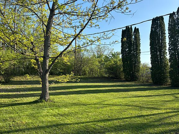 Large Backyard