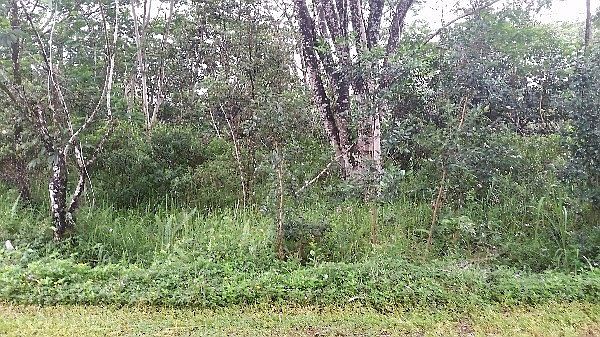1st image of 27th Ave Lot 726