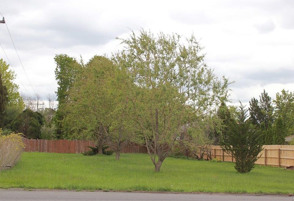 2nd image of 4934 Memory Ln