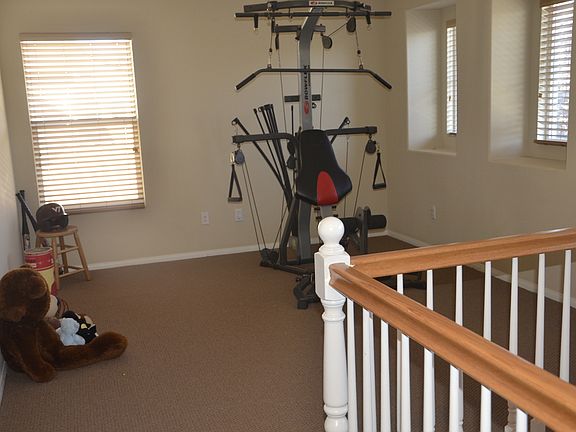 4th image of 33617 Nandina Ln