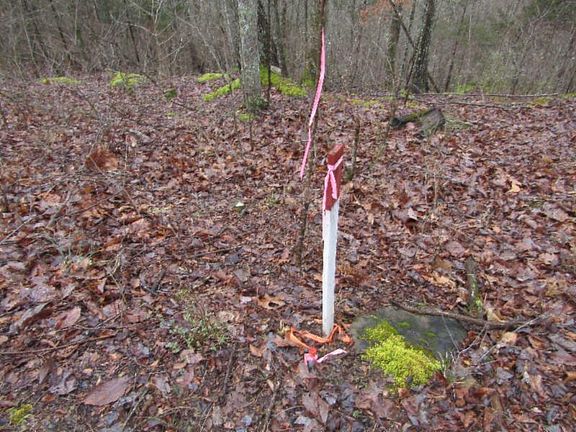 3rd image of 2.20 Ac Rock Springs Rd