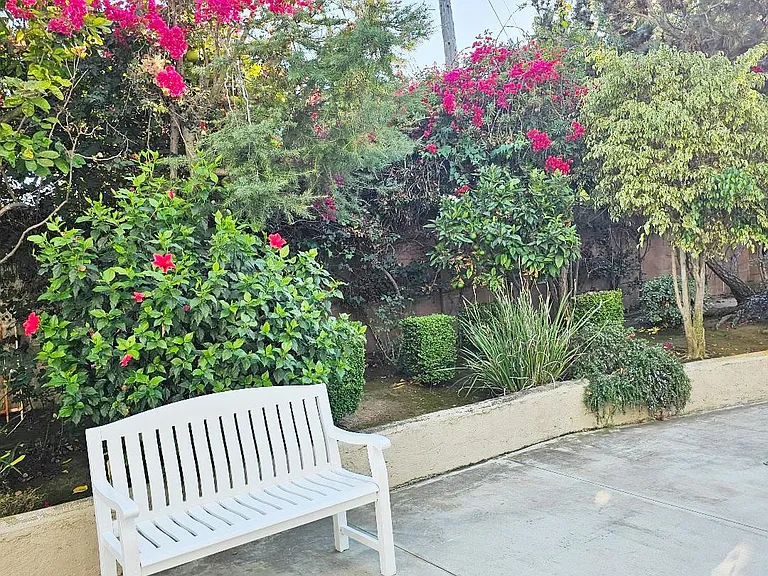 Pomona Ave — Photo 33