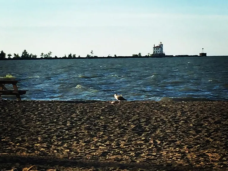 Beach locale
