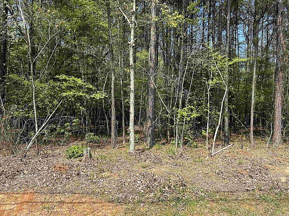 4th image of 0 E Gum St Tract 2