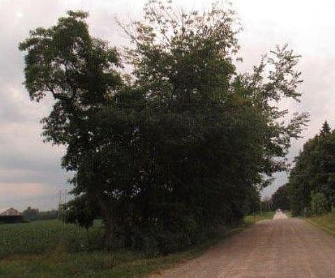 3rd image of 4157 Township Road 232