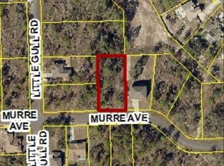 0 Murre Ave, Brooksville, FL 34614