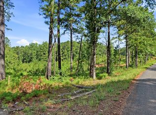 1144 Giles Rd, Forsyth, GA 31029