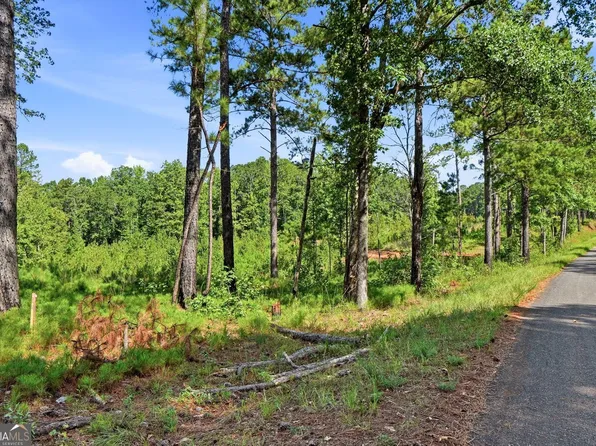 1144 Giles Rd, Forsyth, GA 31029