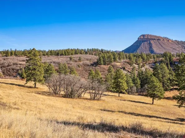 Parcel F Laughing Dog Lane, Durango, CO 81301