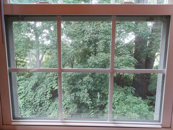 View from Kitchen Window