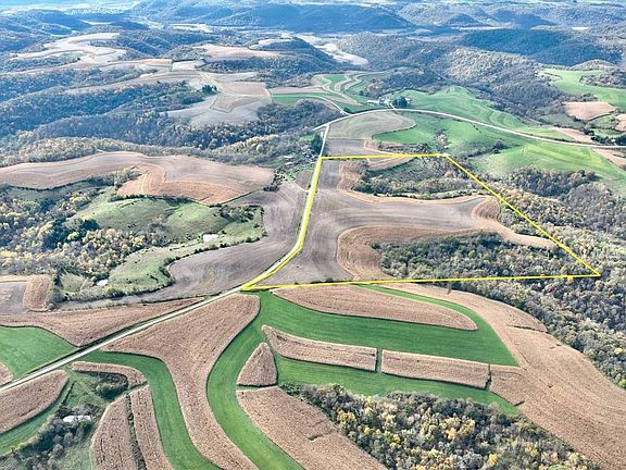 2nd image of Neumann Rd