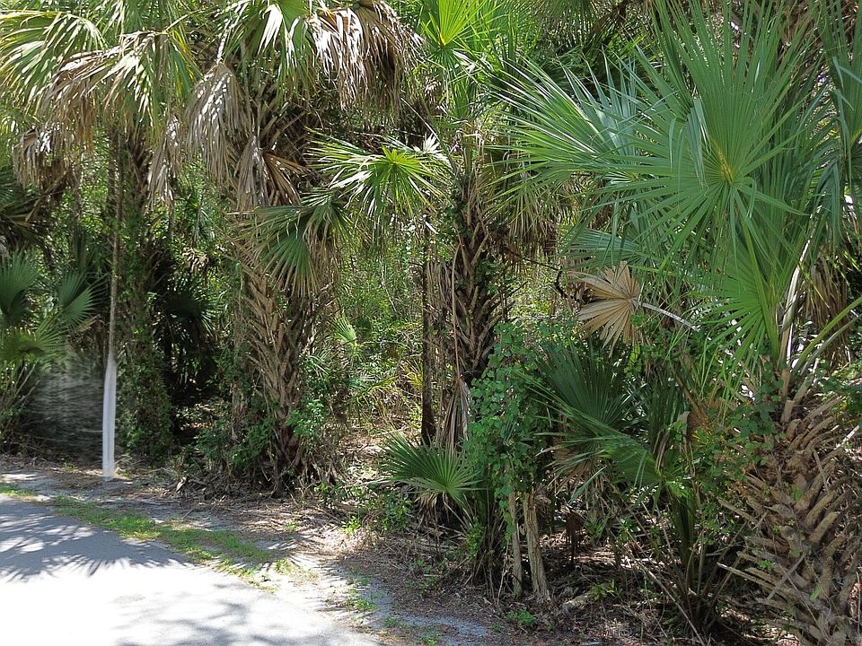 2nd image of 2256 Fawn Drive