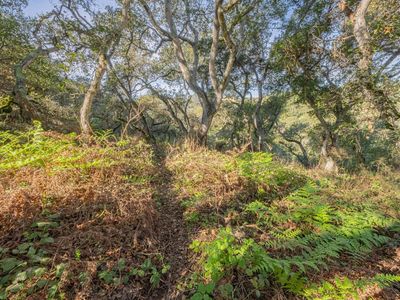 0 Vierra Cyn, Salinas, CA, 93907