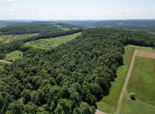 Price School Rd #11, Troupsburg, NY 14885