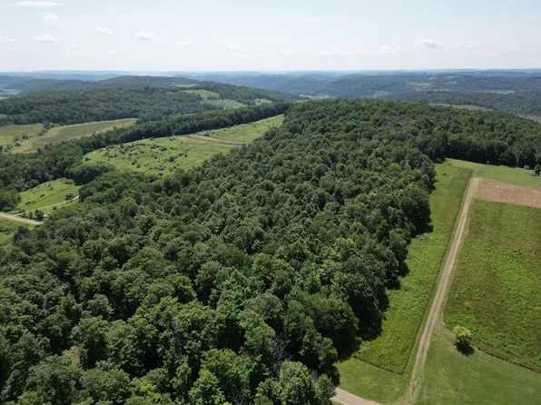 Price School Rd #11, Troupsburg, NY 14885