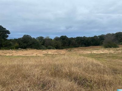 450 County Road 729 #0, Cullman, AL, 35055