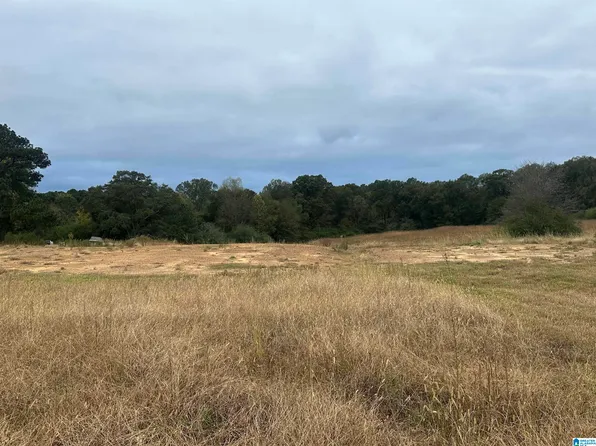 450 County Road 729 #0, Cullman, AL 35055