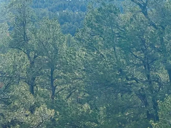 400 Cottonwood Dr, Cotopaxi, CO 81223