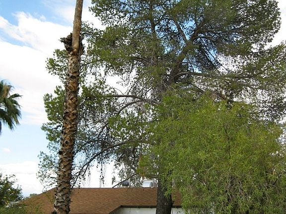 4th image of 1818 N Winstel Blvd