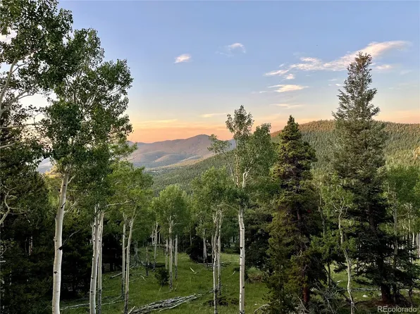 3665 Beaver Brook Canyon Road, Evergreen, CO 80439