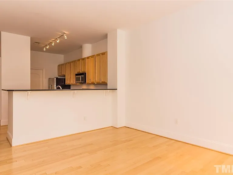 317 W Morgan St #308 — Photo 6