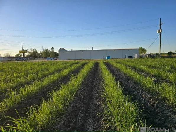 Tba Highway Hwy #20, Vacherie, LA 70090