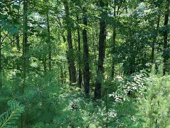 4th image of TBD Lot 13 New River Overlook Road