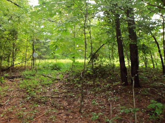 3rd image of 541 Forest Trl