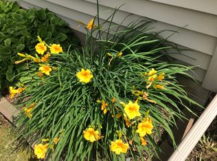 819 6th Ave NW, Dodge Center, MN 55927