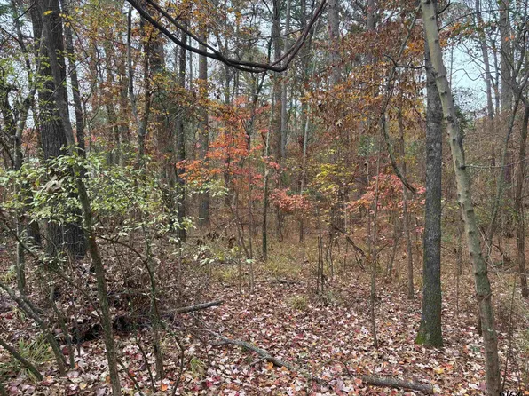 Porsche Dr, Flint, TX 75762