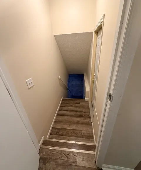 Basement stairs/ garage access