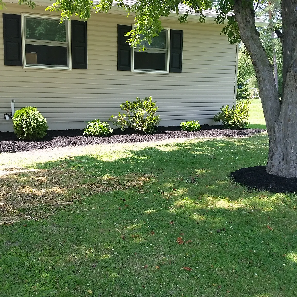 11 Walter Rd photo 1