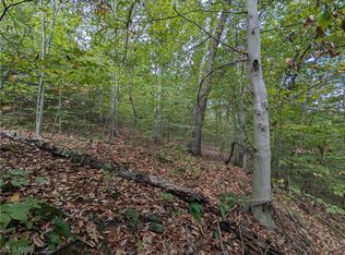 289 Township Rd, Hammondsville, OH 43930