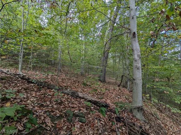 289 Township Rd, Hammondsville, OH 43930