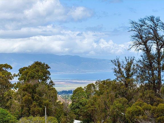 3rd image of 1365 Piiholo Rd