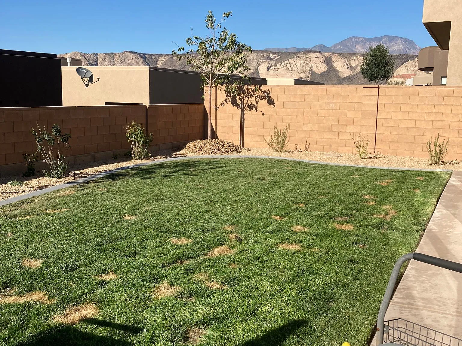 4 bed, 1810 sqft, $3,200 — Photo 4