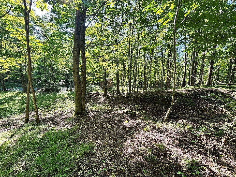1st image of 6952 Canadice Hill Rd Lot 59