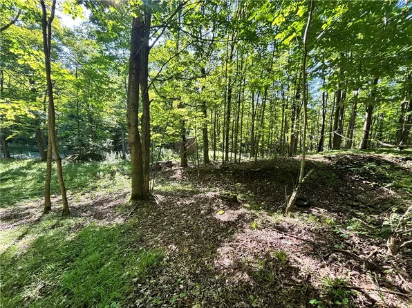 6952 Canadice Hill Rd Lot 59, Springwater, NY 14560