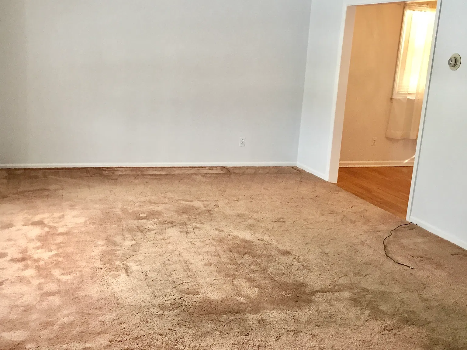 4 bed, 1.5 bath, 1450 sqft, $3,600 — Photo 3
