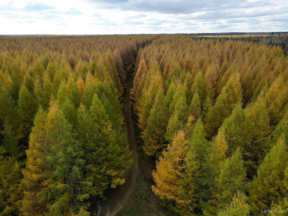 N Gulliver Rd, Gulliver, MI 49840 Zillow