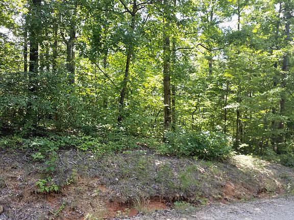 3rd image of Chilhowee Trl