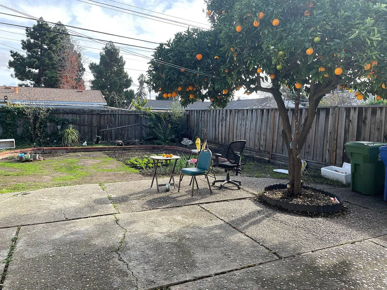 Gertrude Dr, Fremont — Photo 4