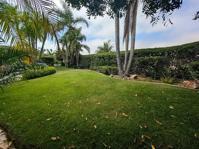 973 Blackstilt Ct — Photo 19