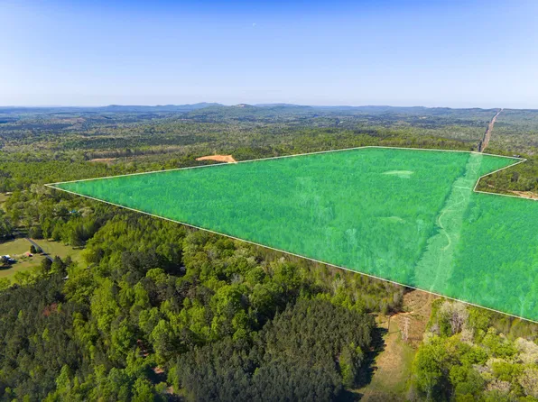 0 Shaw Rd #0, Pell City, AL 35128